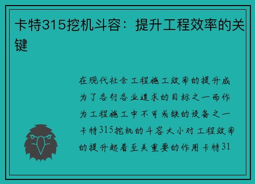 卡特315挖机斗容：提升工程效率的关键