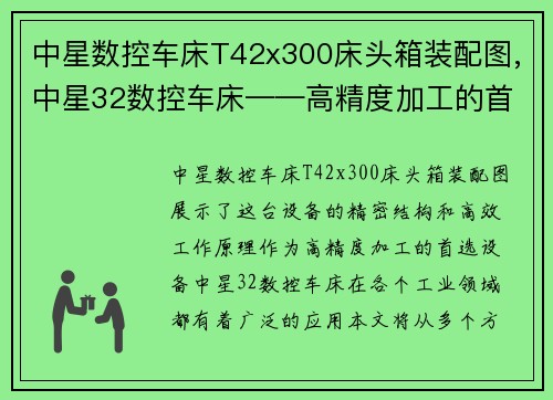 中星数控车床T42x300床头箱装配图,中星32数控车床——高精度加工的首选设备